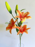 F0303 Artificial Orange Tiger Lily 72cm Orange | ARTISTIC GREENERY