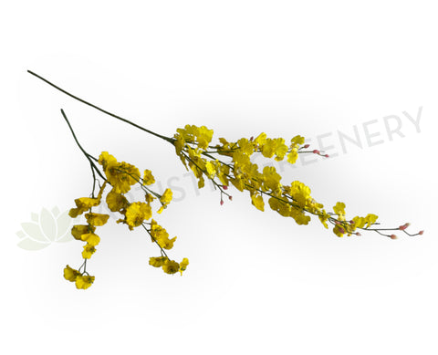 F0420 Oncidium Orchid / Dancing Orchid 47-82cm CLEARANCE STOCK | ARTISTIC GREENERY