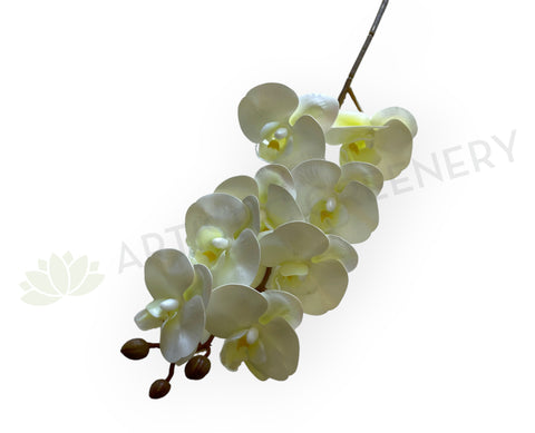F0422 Latex Phalaenopsis Orchid Spray Real Touch 78cm White | ARTISTIC GREENERY