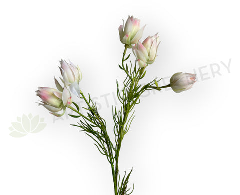 F0435 Artificial Snow Lotus / Saussurea 73cm Light Pink | ARTISTIC GREENERY