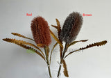 F0436 Artificial Dried Style Banksia Serrata 62cm Brown / Red | ARTISTIC GREENERY