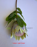 Light Green - F0442 Artificial Small King Protea (Half Open) Single Stem 52cmcm Pink / Light Pink | ARTISTIC GREENERY