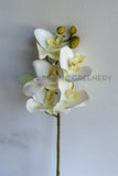 F0448 Latex Phalaenopsis Orchid 67cm White 5 Flowers | ARTISTIC GREENERY