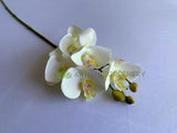 F0448 Latex Phalaenopsis Orchid 67cm White 5 Flowers | ARTISTIC GREENERY