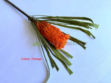 Orange - F0449 Artificial Australiana Native Flowers Banksia Ashbyi Stem 65cm Red / White / Orange | ARTISTIC GREENERY