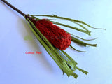 Red - F0449 Artificial Australiana Native Flowers Banksia Ashbyi Stem 65cm Red / White / Orange | ARTISTIC GREENERY
