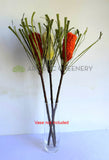 F0449 Artificial Australiana Native Flowers Banksia Ashbyi Stem 65cm Red / White / Orange | ARTISTIC GREENERY