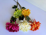 F0450 Chrysanthemum Single Stem 64cm  5 colours SPECIAL