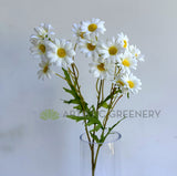 F0451 Silk White Daisy Spray 62cm  | ARTISTIC GREENERY