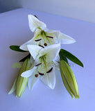 F0455 Artificial Lily Spray 79cm White / Pink | ARTISTIC GREENERY