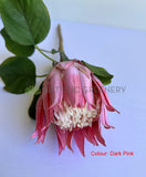 Dark Pink - F0457 Artificial Queen Protea Stem 67cm 4 colours | ARTISTIC GREENERY 