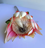 F0458 Silk King Protea Stem 72cm Pink | ARTISTIC GREENERY