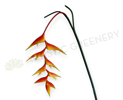 F0464 Hanging Heliconia 140cm (Tropical Flower)