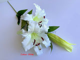 White - F0478 Casa Blanca Lily 99cm Yellow / White / Pink (SPECIAL) | ARTISTIC GREENERY