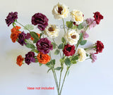 Orange - F0480 Camellia / Garden Rose Spray 81cm 5 Colour (SPECIAL) | ARTISTIC GREENERY