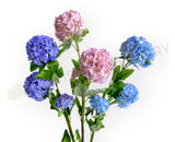 F0485 Snowball Hydrangea 70cm 3 colours