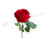F0489 Faux Velvet Rose Stem 45cm Red | ARTISTIC GREENERY