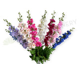 F0490 Delphinium / Stock Flower 89cm Latex 8 Colours
