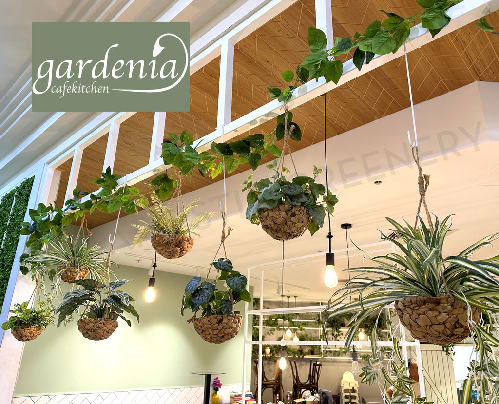 Gardenia Cafe Currambine Central Vertical Garden / Hanging Baskets