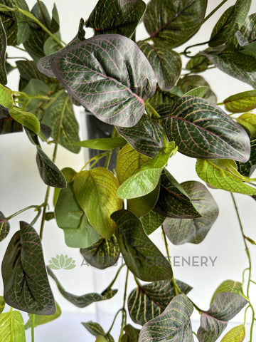 nerve plant hanging HP0034PUR Faux Hanging Nerve Plant (Purple Veins) / Fittonia 80cm Real Touch