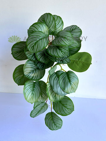 calathea hanging plant HP0095 Faux Hanging Calathea Orbifolia 63cm