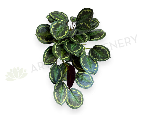 HP0096 Artificial Hanging Calathea Roseopicta 63cm | ARTISTIC GREENERY