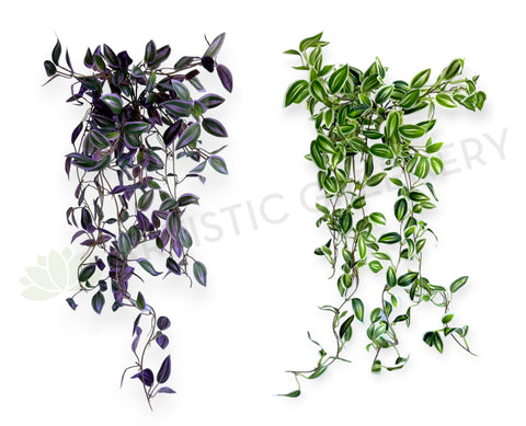 HP0097 Hanging Spiderwort / Tradescantia / Wandering Jew Plant 63cm 2 styles | ARTISTIC GREENERY