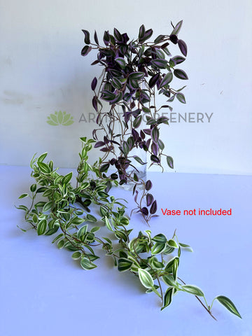 spiderwort hanging plant HP0097 Hanging Spiderwort / Tradescantia / Wandering Jew Plant 63cm 2 styles