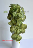 white veins - HP0101 Artificial Hanging Caladium Plant 46cm 2 styles Red / White | ARTISTIC GREENERY