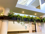 Perth Radiological Clinic (Subiaco) - Artificial Plants for Bulkhead / Built-in Hanging Planter| ARTISTIC GREENERY PERTH