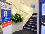 Perth Radiological Clinic (Subiaco) - Artificial Plants for Bulkhead / Built-in Hanging Planter| ARTISTIC GREENERY PERTH