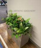 Perth Radiological Clinic (Wexford) - Artificial Plants & Planter Boxes | ARTISTIC GREENERY