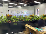 iTechworld (Burswood) - Artificial Plants for Office Planters | ARTISTIC GREENERY