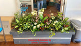 Park Medical Group (East Victoria Park) - Artificial Plants Refurbishment | ARTISTIC GREENERY