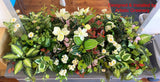 Park Medical Group (East Victoria Park) - Artificial Plants Refurbishment | ARTISTIC GREENERY