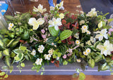 Park Medical Group (East Victoria Park) - Artificial Plants Refurbishment | ARTISTIC GREENERY