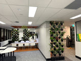 Aquirian (Perth CBD) - Vertical Screen and Tambour Units - Artificial Plants | ARTISTIC GREENERY