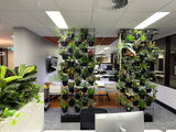 Aquirian (Perth CBD) - Vertical Screen and Tambour Units - Artificial Plants | ARTISTIC GREENERY