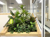 ISHAR Multicultural Women’s Health Services (Mirrabooka) - Artificial Greenery for Built-in Planter | ARTISTIC GREENERY