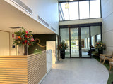 FA1132VNH-LFA - Large Lobby / Foyer Floral Arrangement 165cm Tall (Ref: Carmel Roshana Care)