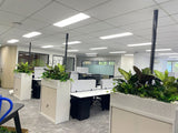 Perth Radiological Clinic (Subiaco) - Artificial Plants for Tambour Units| ARTISTIC GREENERY PERTHPerth Radiological Clinic (Subiaco) - Artificial Plants for Tambour Units| ARTISTIC GREENERY PERTH