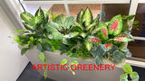 Perth Radiological Clinic (Waikiki) - Artificial Plants for Planter Boxes | ARTISTIC GREENERY