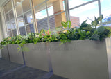 Perth Radiological Clinic (Waikiki) - Artificial Plants for Planter Boxes | ARTISTIC GREENERY