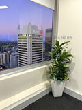 NHOA (Perth City) - Artificial Greenery Wall / Vertical Garden, Plants for Hanging Baskets & Built-in Shelf