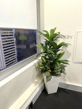NHOA (Perth City) - Artificial Greenery Wall / Vertical Garden, Plants for Hanging Baskets & Built-in Shelf