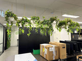 NHOA (Perth City) - Artificial Greenery Wall / Vertical Garden, Plants for Hanging Baskets & Built-in Shelf