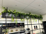 NHOA (Perth City) - Artificial Greenery Wall / Vertical Garden, Plants for Hanging Baskets & Built-in Shelf