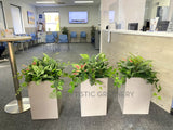 Perth Radiological Clinic (Innaloo) - Artificial Plants for Planters | ARTISTIC GREENERY PERTH