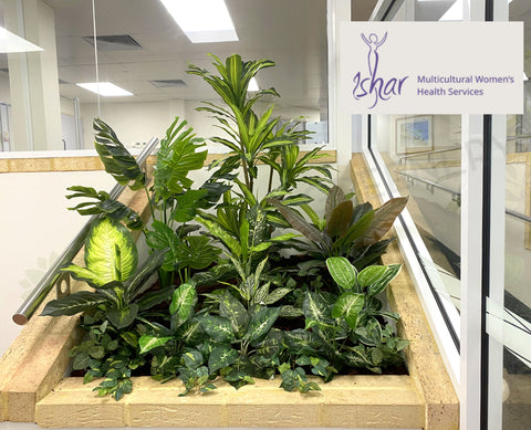 ISHAR Multicultural Women’s Health Services (Mirrabooka) - Artificial Greenery for Built-in Planter | ARTISTIC GREENERY