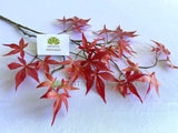 LEA0129 Faux Maple Foliage 90cm Red | ARTISTIC GREENERY